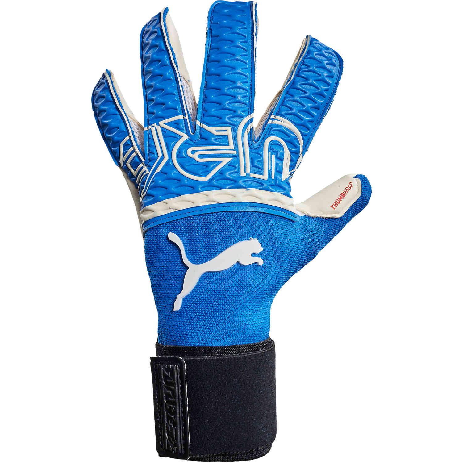 Puma future goalkeeper gloves outlet