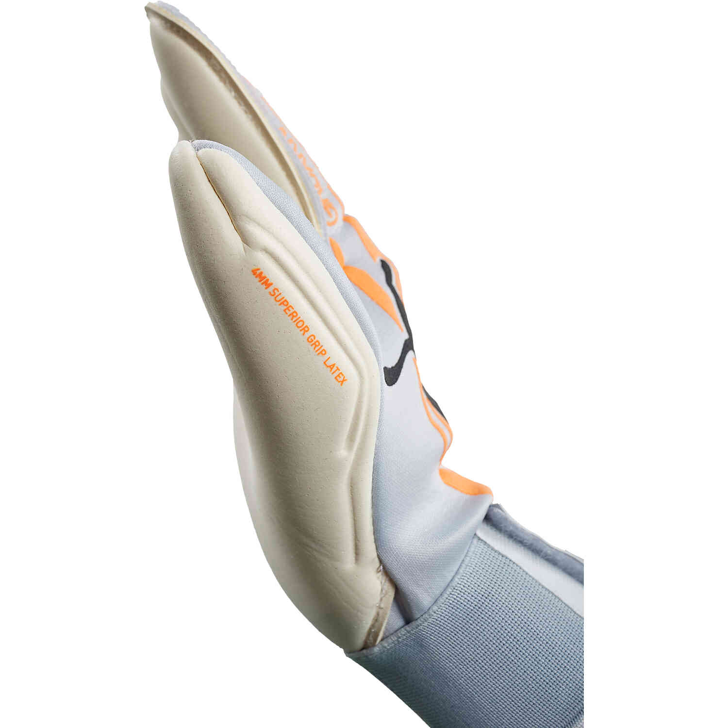 Puma live online