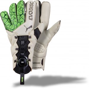 Puma evo disc deals