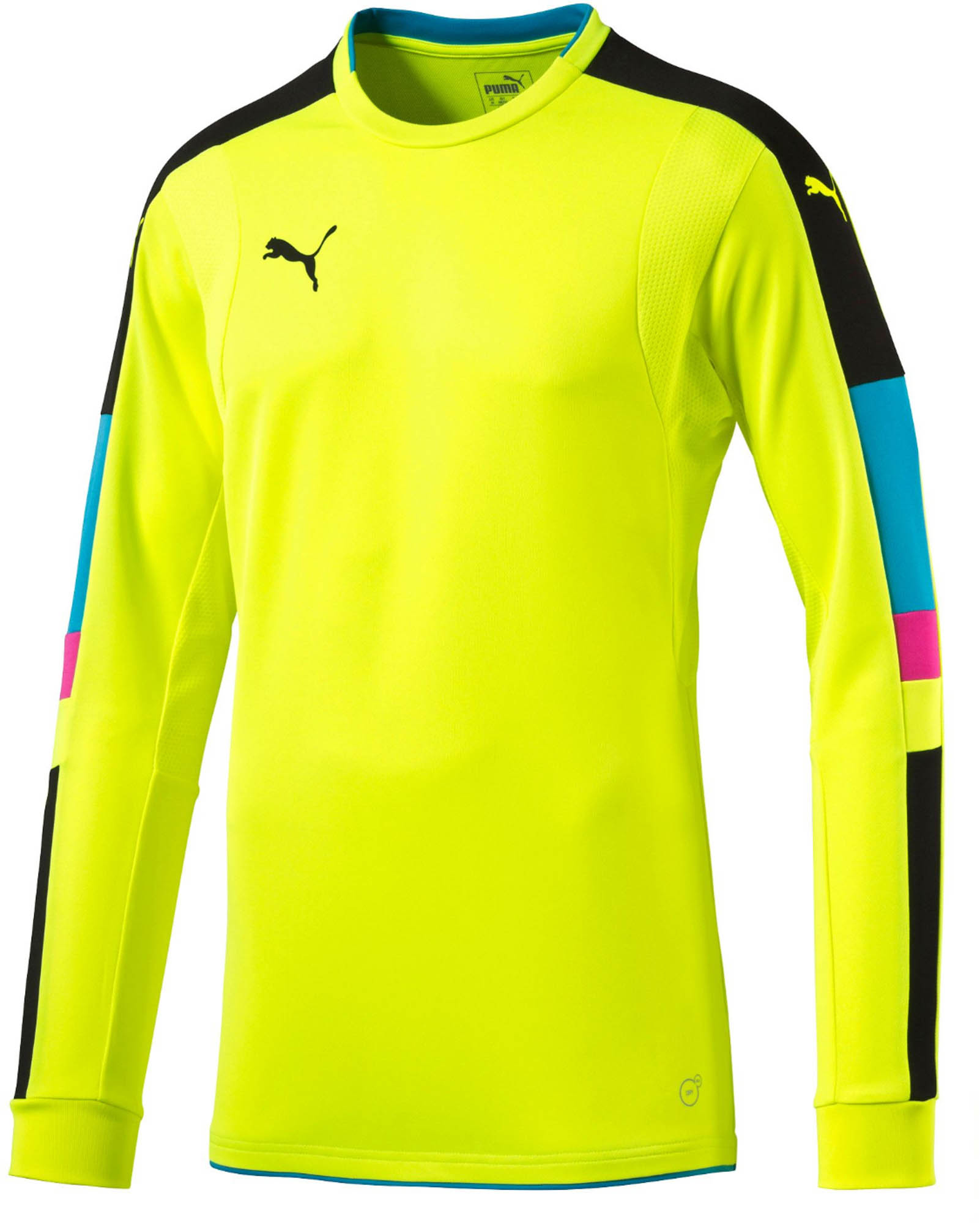 puma goalkeeper jersey 2018