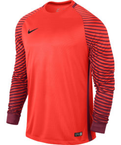 nike gardien goalkeeper kit 2018