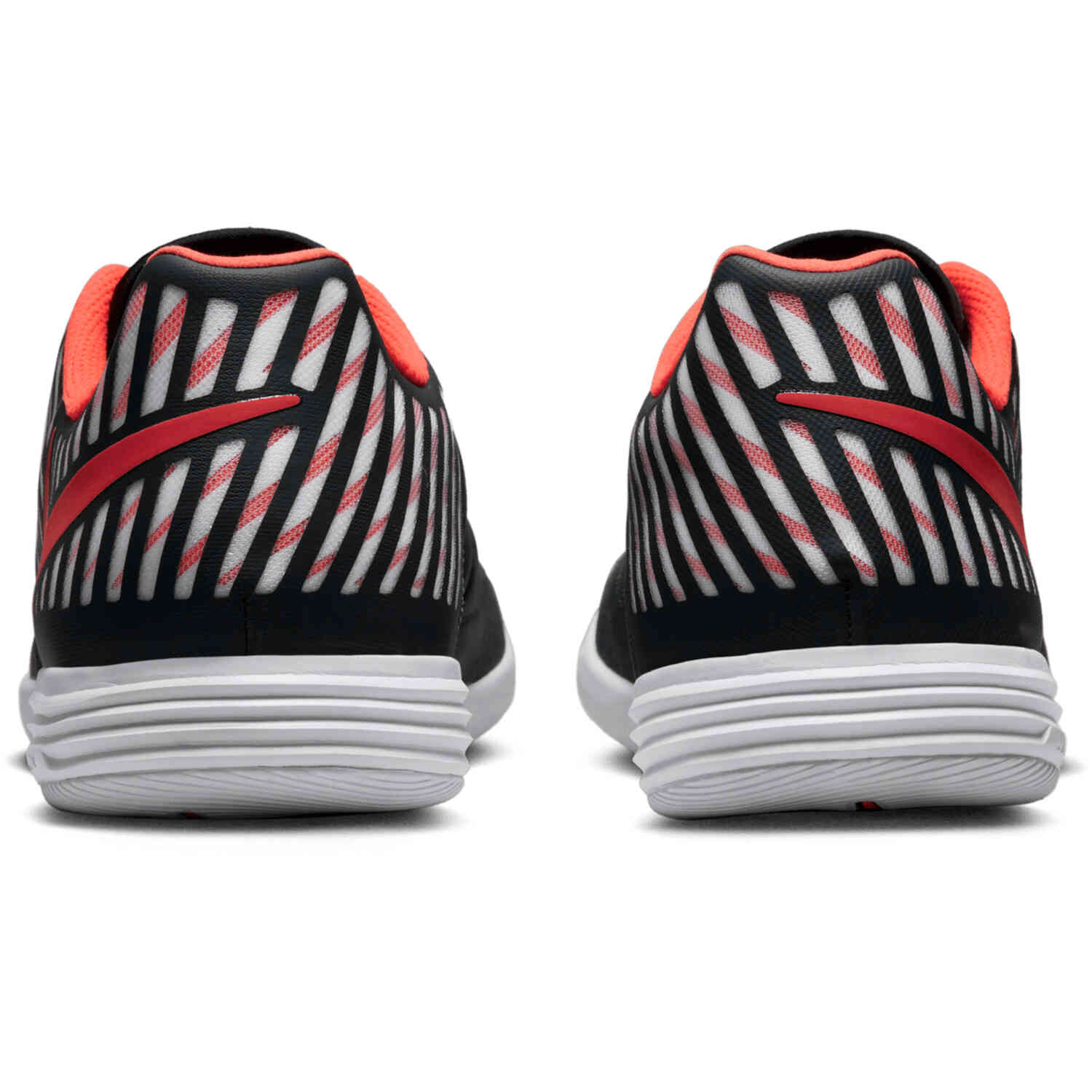 Lunar gato 2 2019 discount