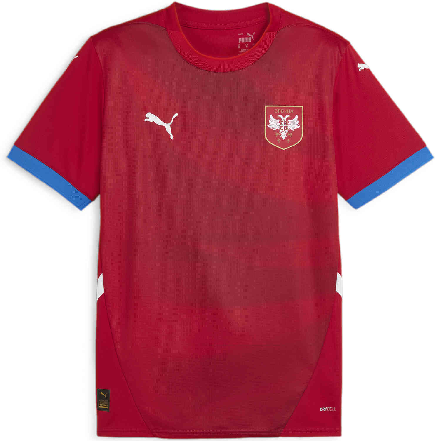 Puma team soccer jerseys clearance