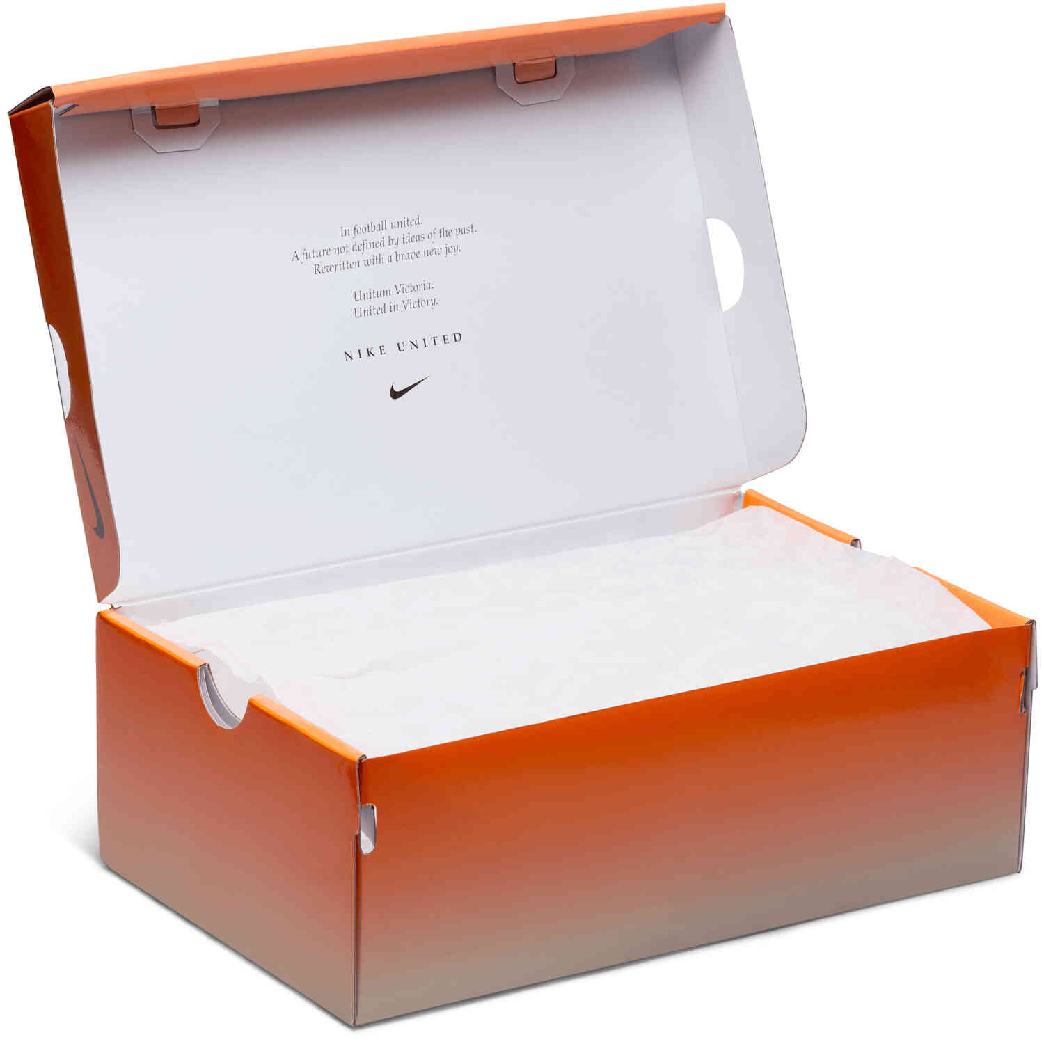 Ice nike clearance shoe box