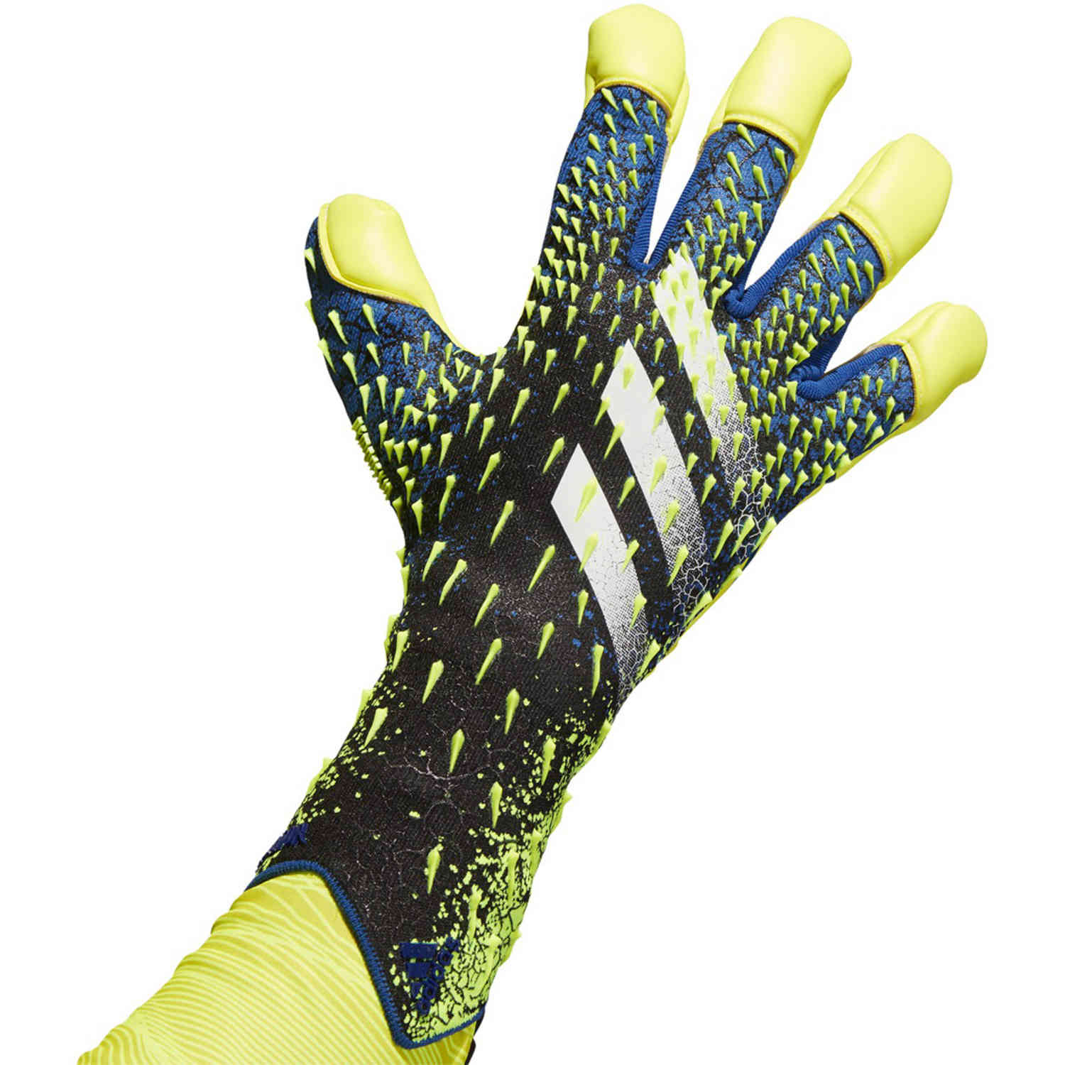 Adidas Predator Gloves Pro Goalkeeper Royal/Blue / 8