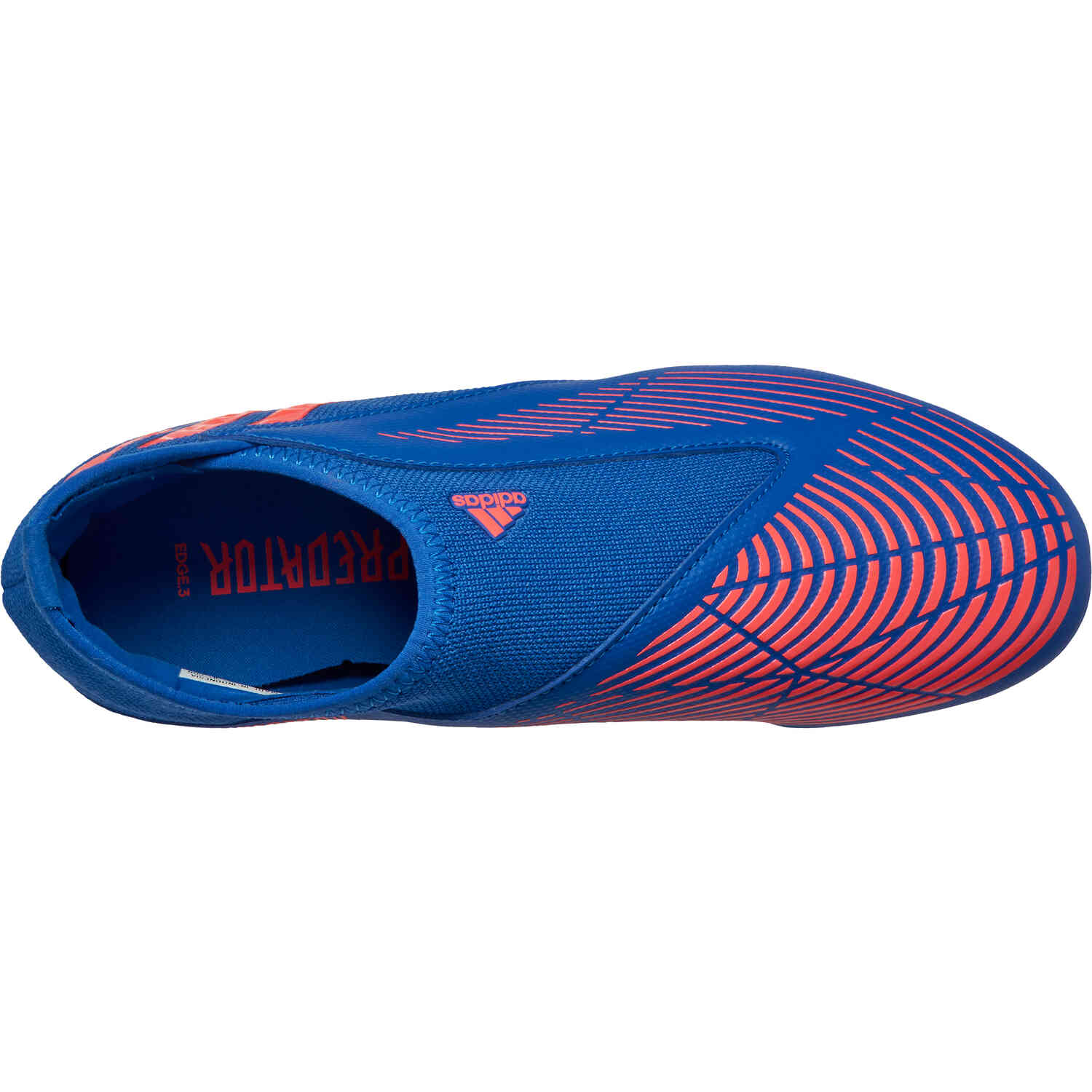 Blue sales predators laceless