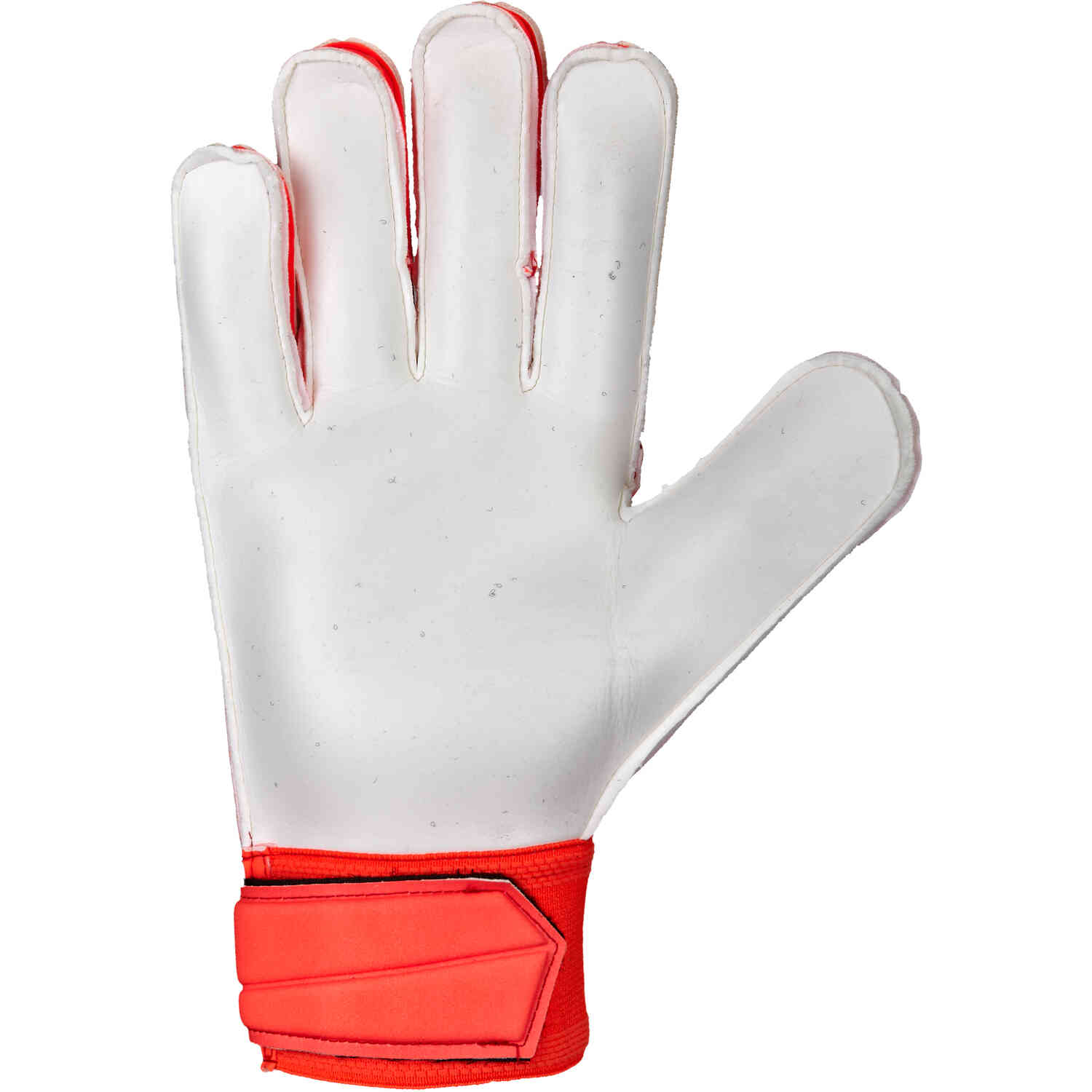 Adidas predator hotsell training goalkeeper gloves